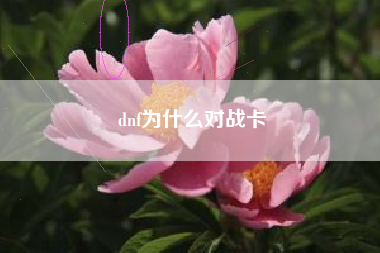 dnf为什么对战卡