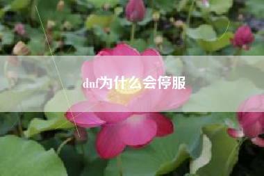 dnf为什么会停服