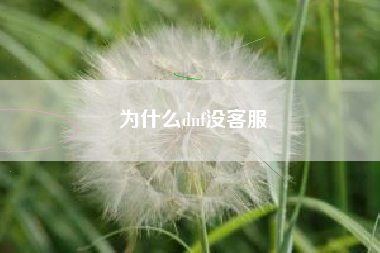 为什么dnf没客服