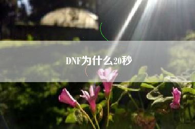 DNF为什么20秒