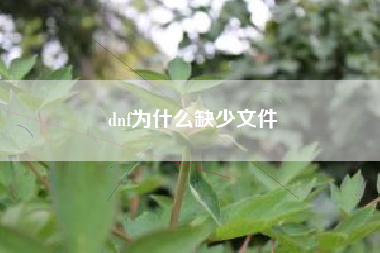 dnf为什么缺少文件