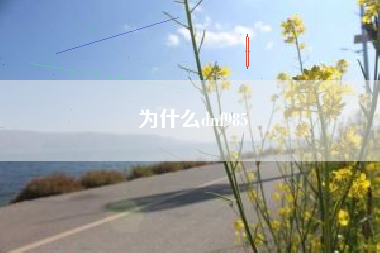 为什么dnf985