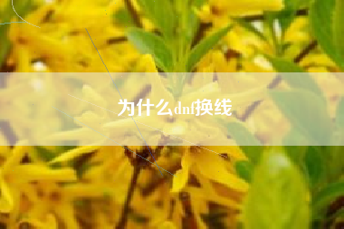 为什么dnf换线