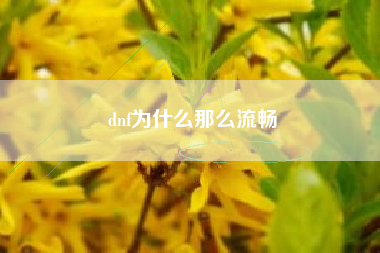 dnf为什么那么流畅
