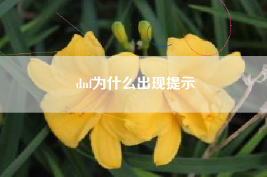 dnf为什么出现提示