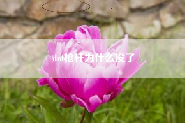 dnf枪杆为什么没了