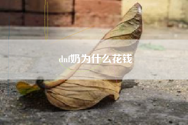 dnf奶为什么花钱