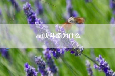 dnf决斗场为什么