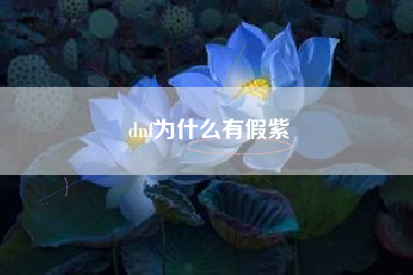 dnf为什么有假紫