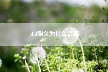 dnf耐久为什么会掉