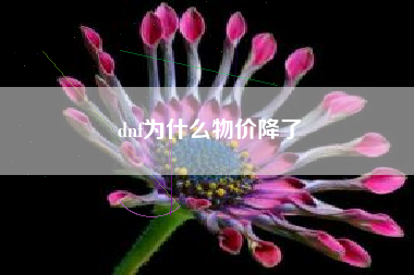 dnf为什么物价降了