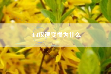 dnf攻速变慢为什么