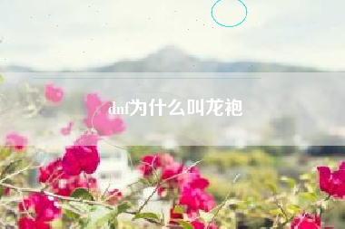 dnf为什么叫龙袍
