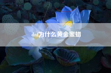 dnf为什么黄金蜜蜡