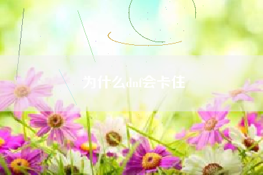 为什么dnf会卡住