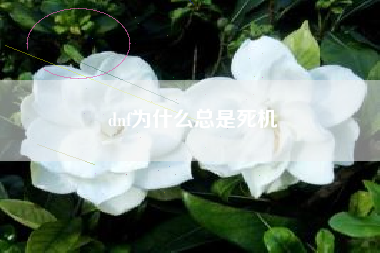 dnf为什么总是死机