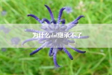 为什么dnf继承不了