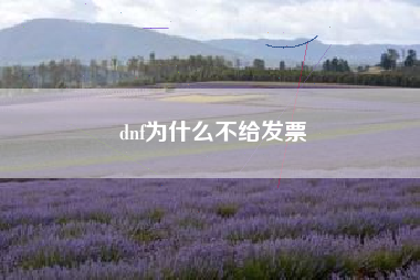 dnf为什么不给发票