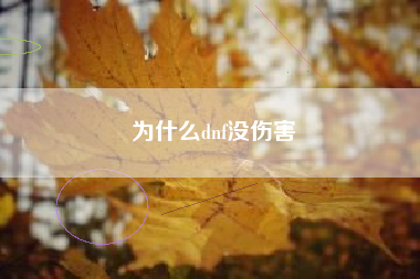 为什么dnf没伤害