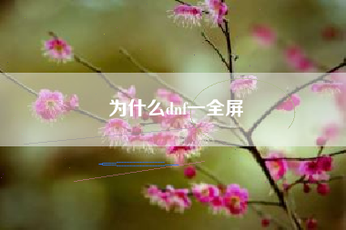 为什么dnf一全屏