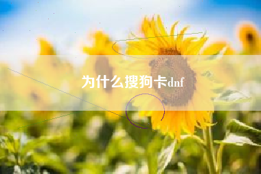 为什么搜狗卡dnf