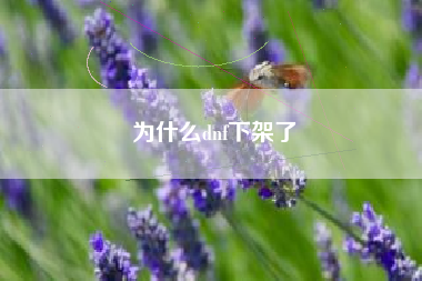 为什么dnf下架了