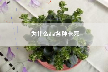 为什么dnf各种卡死