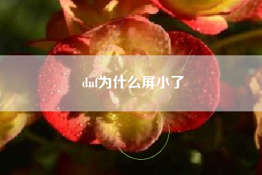 dnf为什么屏小了