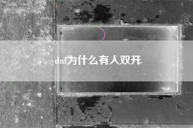 dnf为什么有人双开