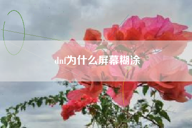 dnf为什么屏幕糊涂