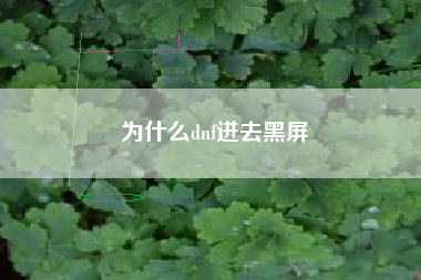 为什么dnf进去黑屏