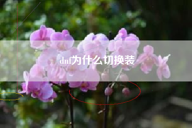 dnf为什么切换装
