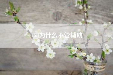 dnf为什么不管辅助