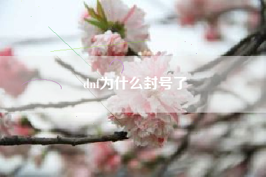 dnf为什么封号了