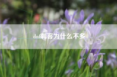 dnf刺客为什么不多