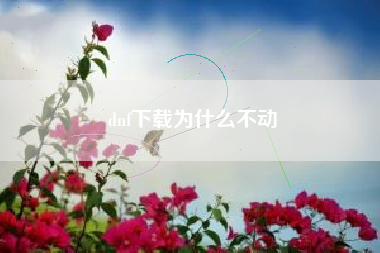 dnf下载为什么不动