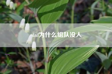 dnf为什么组队没人