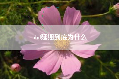 dnf延期到底为什么