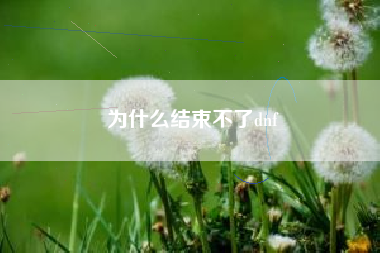 为什么结束不了dnf
