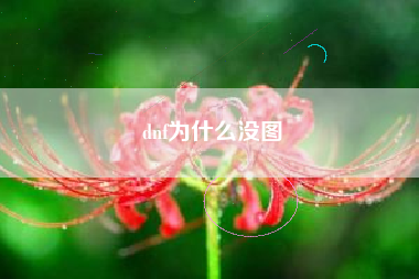 dnf为什么没图