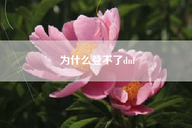 为什么登不了dnf