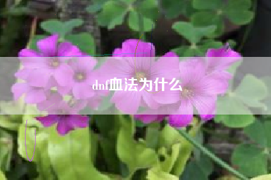 dnf血法为什么
