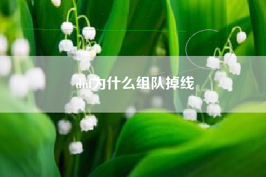 dnf为什么组队掉线