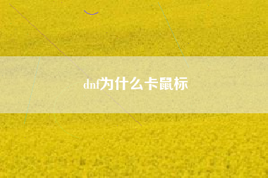 dnf为什么卡鼠标