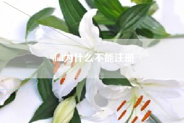 dnf为什么不能注册