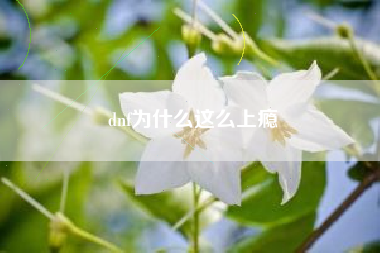 dnf为什么这么上瘾