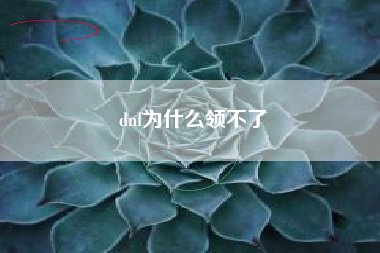 dnf为什么领不了