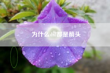 为什么dnf都是箭头