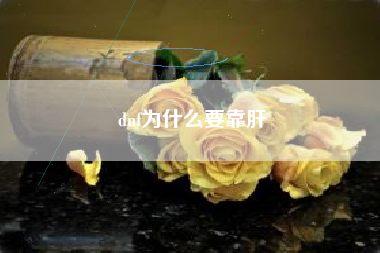 dnf为什么要靠肝