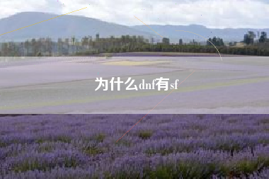 为什么dnf有sf